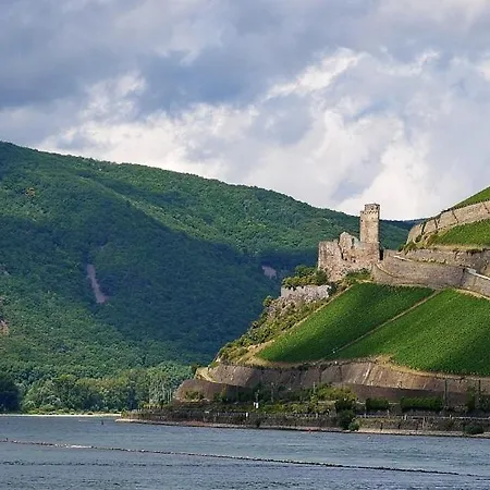 Rheinblick Ruedesheim am Rhein