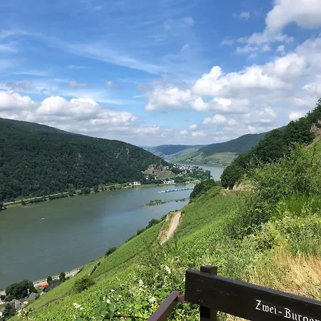 Rheinblick Apartmán *