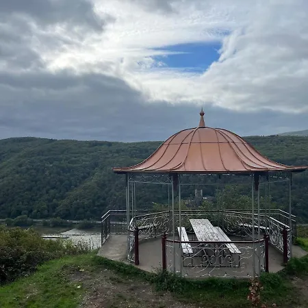 Rheinblick Ruedesheim am Rhein