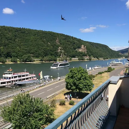Rheinblick Rüdesheim am Rhein